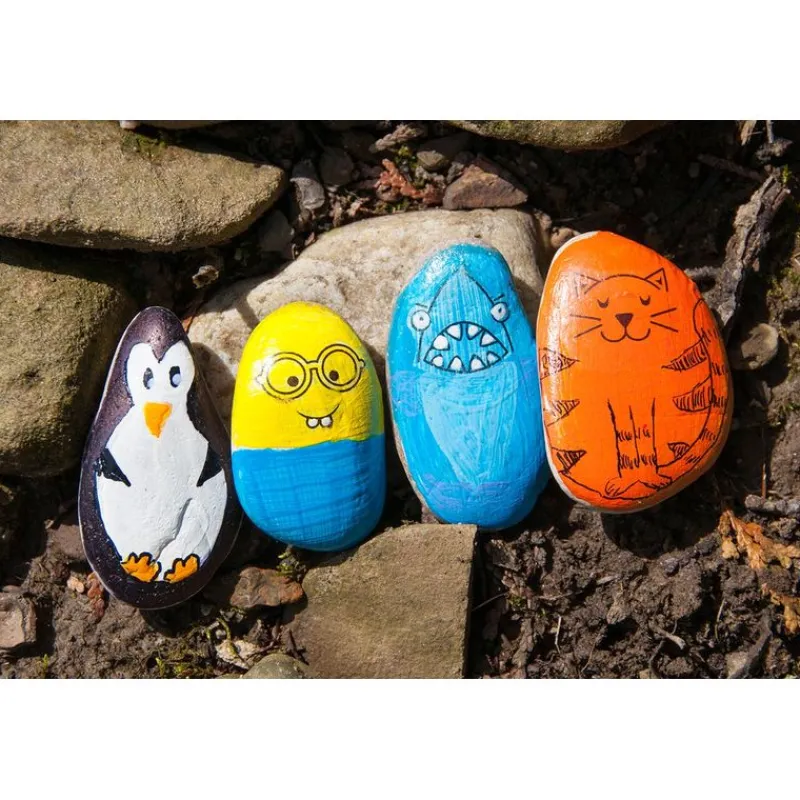 Pinta Rocas Set para Niños<Timeout Online