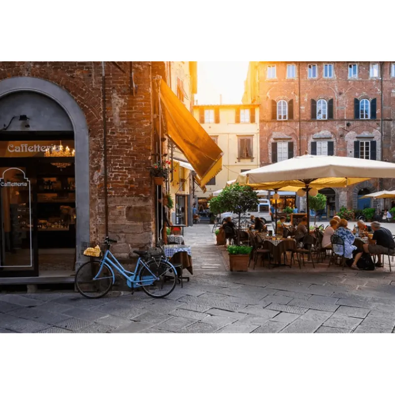 Rompecabezas Cafetería 500 Piezas<Novelty Outlet