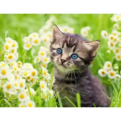 Rompecabezas de Michi de 500 Piezas<La Casa de la Educadora Discount