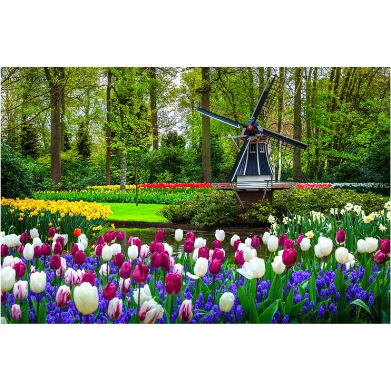 Rompecabezas Jardín Botánico Keukenhof, Holanda de 1500 Piezas<Wuundentoy Best